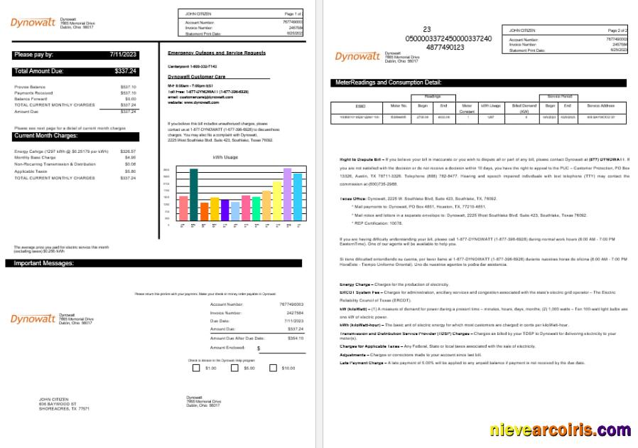 New York  Dynowatt electricity utility bill
